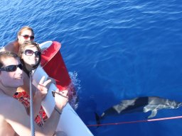 Visite de Célyne et Faf